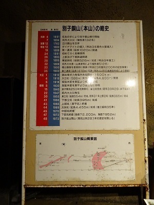 DSC02490.jpg