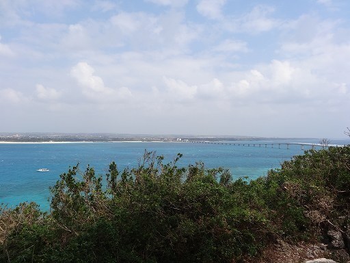 DSC02742.jpg