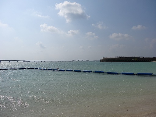 DSC02751.jpg