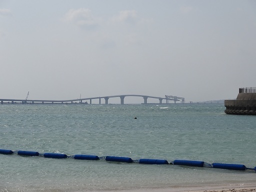 DSC02754.jpg
