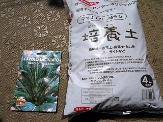 DSC03232.jpg