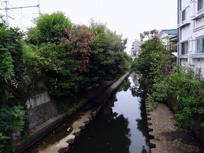DSC04540.jpg