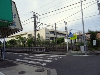 DSC04565.jpg