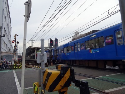 DSC04581.jpg