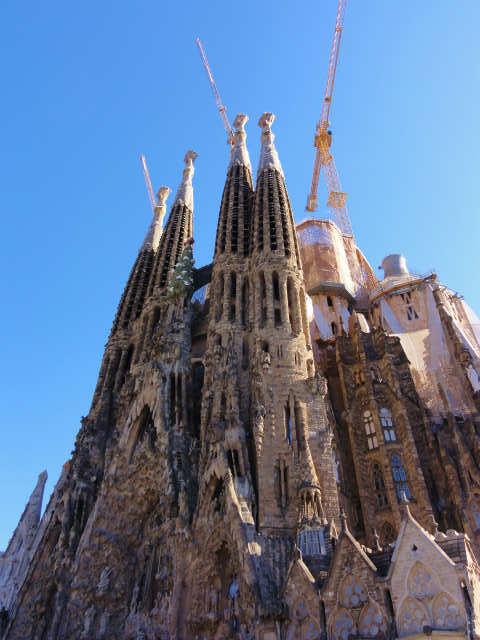 DSC07512.jpg