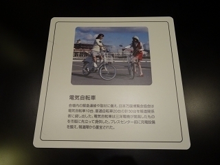 DSC08595.jpg