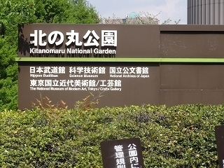 DSC08772.jpg