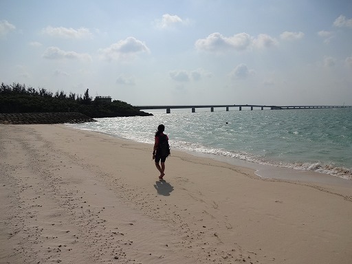 DSC09933.jpg