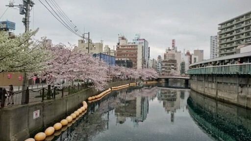 DSC_0123.jpg