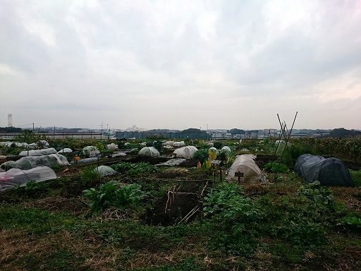 DSC_1305.jpg